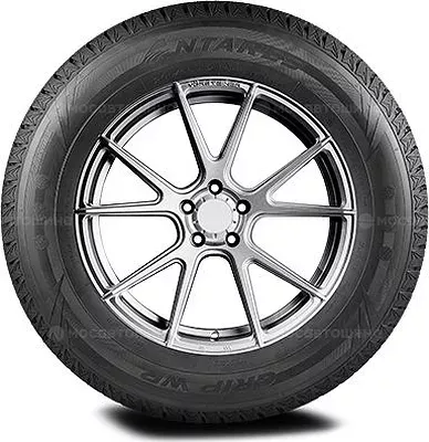 Antares Grip Winter Plus 255/40 R20 101H