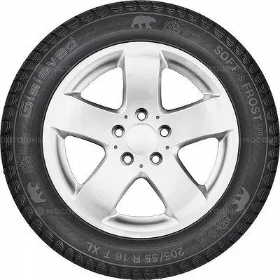 Gislaved Soft Frost 200 225/45 R17 94T XL