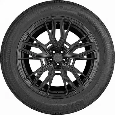 Gripmax Stature M/S 255/45 R20 105V XL