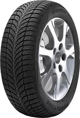 Roadstone Winguard Snow'G WH2 225/50 R17 98V